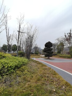城市公园中的多彩步道
