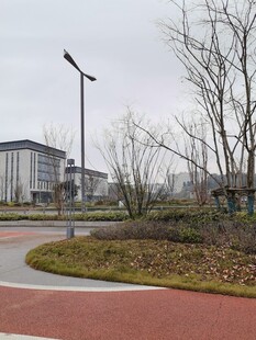 城市公园中的弯曲步道景观