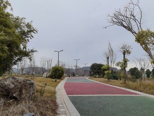 公园彩色步道风景