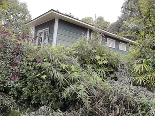 被绿植环绕的温馨小屋