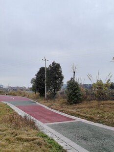 城郊多彩步道与树木景观