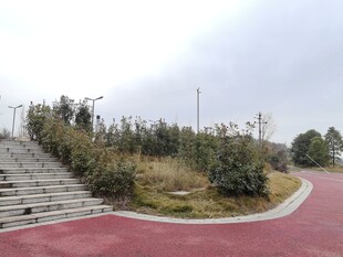 户外红色步道旁绿植景观