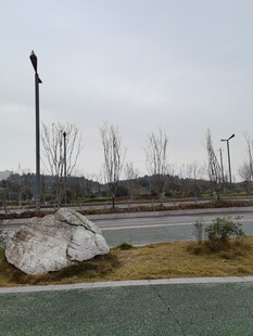 道路旁景观石与周边景致