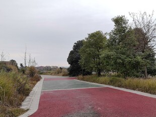 红色步道旁的绿意景观