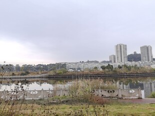 城市河畔风景