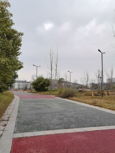 城市中色彩鲜明的步道