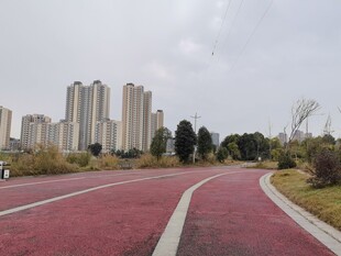 城市中的红色健身步道