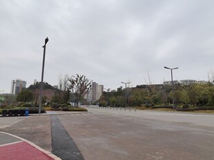 户外空旷运动场地景观