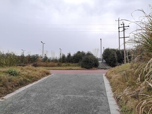 乡村小道静谧自然风景