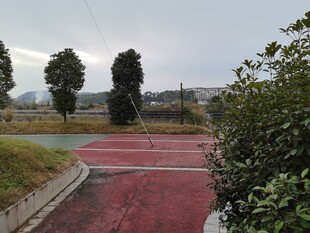 户外红色步道与绿植景观