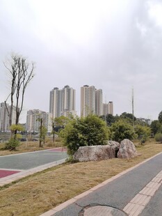 城市中公园绿地景观