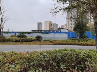 城市道路旁的绿植与建筑景观