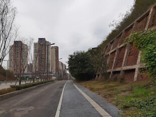荒废道路旁的废弃建筑