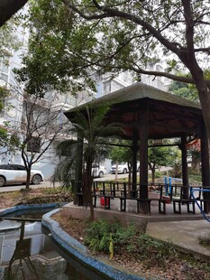 公园中的休闲凉亭景观