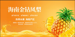 海南金钻凤梨