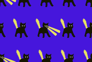 黑猫与激光图案背景