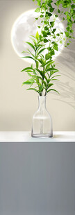 简约绿植瓶饰 清新氛围