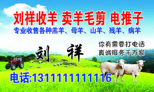 收羊毛卖毛电推子名片