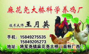 科学养鸡场名片