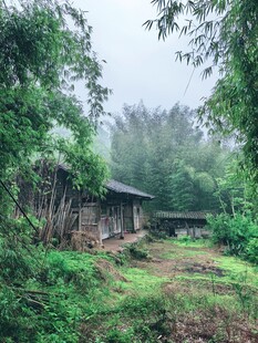 林间小屋