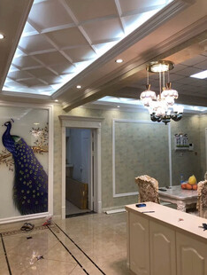 奢华客厅的精致装饰