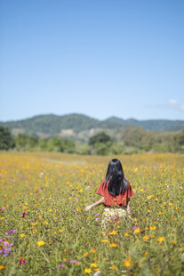 女孩置身绚烂花海中