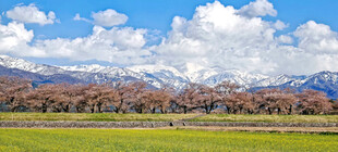 草原山川蓝天白云美景