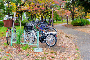 秋日路边停放的多彩自行车