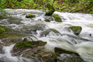 山间溪流湍急的自然美景