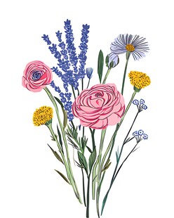 手绘多彩花卉组合