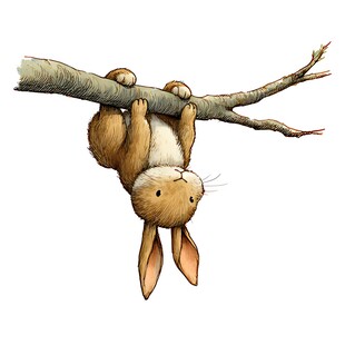 倒挂树枝的可爱小兔子