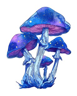梦幻蓝紫色蘑菇插画