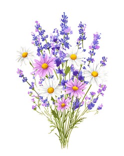 手绘薰衣草与雏菊花卉束