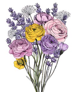 多彩花卉插画浪漫花束