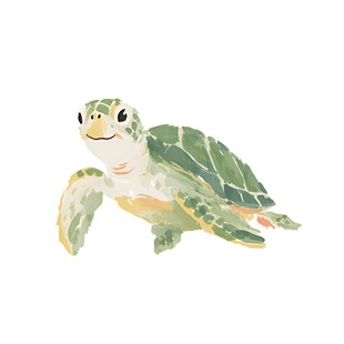可爱水彩风小海龟