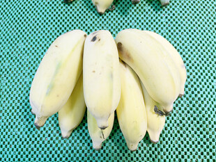 香蕉