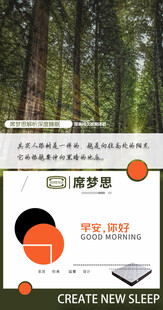 森林中的创意梦想展示板