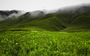 云雾下的翠绿山间草地