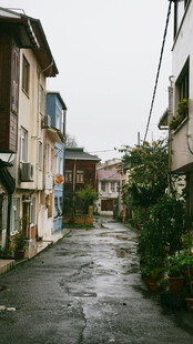 雨后宁静小巷景致