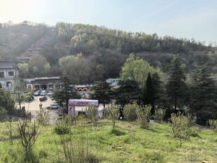 乡村绿野中的房屋景观