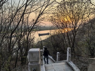 黄昏下漫步于林间石阶