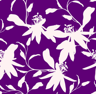 紫色背景白色花卉图案