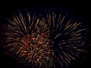 夜空中绚烂绽放的烟花