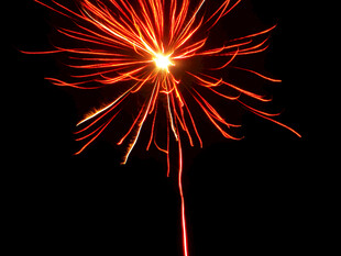 绚丽烟花绽放夜空