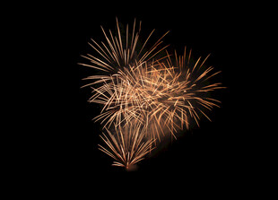 夜空中绽放的绚烂烟花