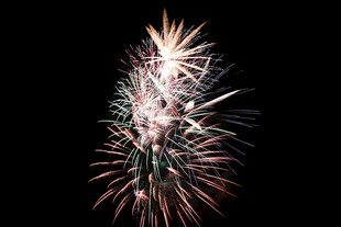 绚丽烟花绽放夜空