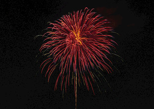 夜空中绽放的绚丽烟花