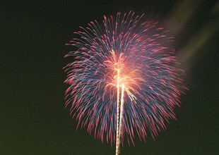 夜空中绚烂绽放的烟花