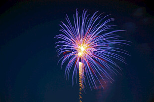 夜空中绚丽绽放的烟花