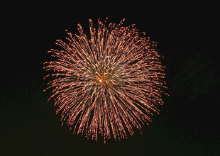 夜空中绽放的绚丽烟花